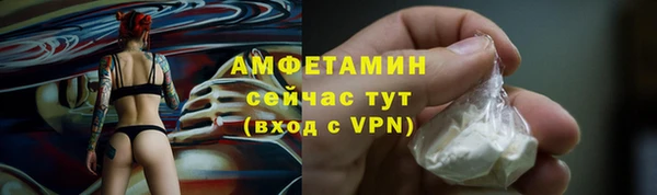 стаф Елизово