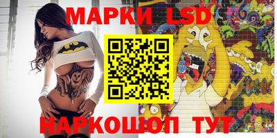 apvp Краснодар