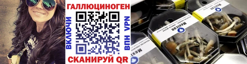 Галлюциногенные грибы GOLDEN TEACHER  Протвино 